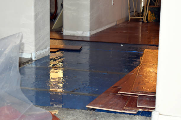 Professional Basement Flood Cleanup technician working in Parksville, KY